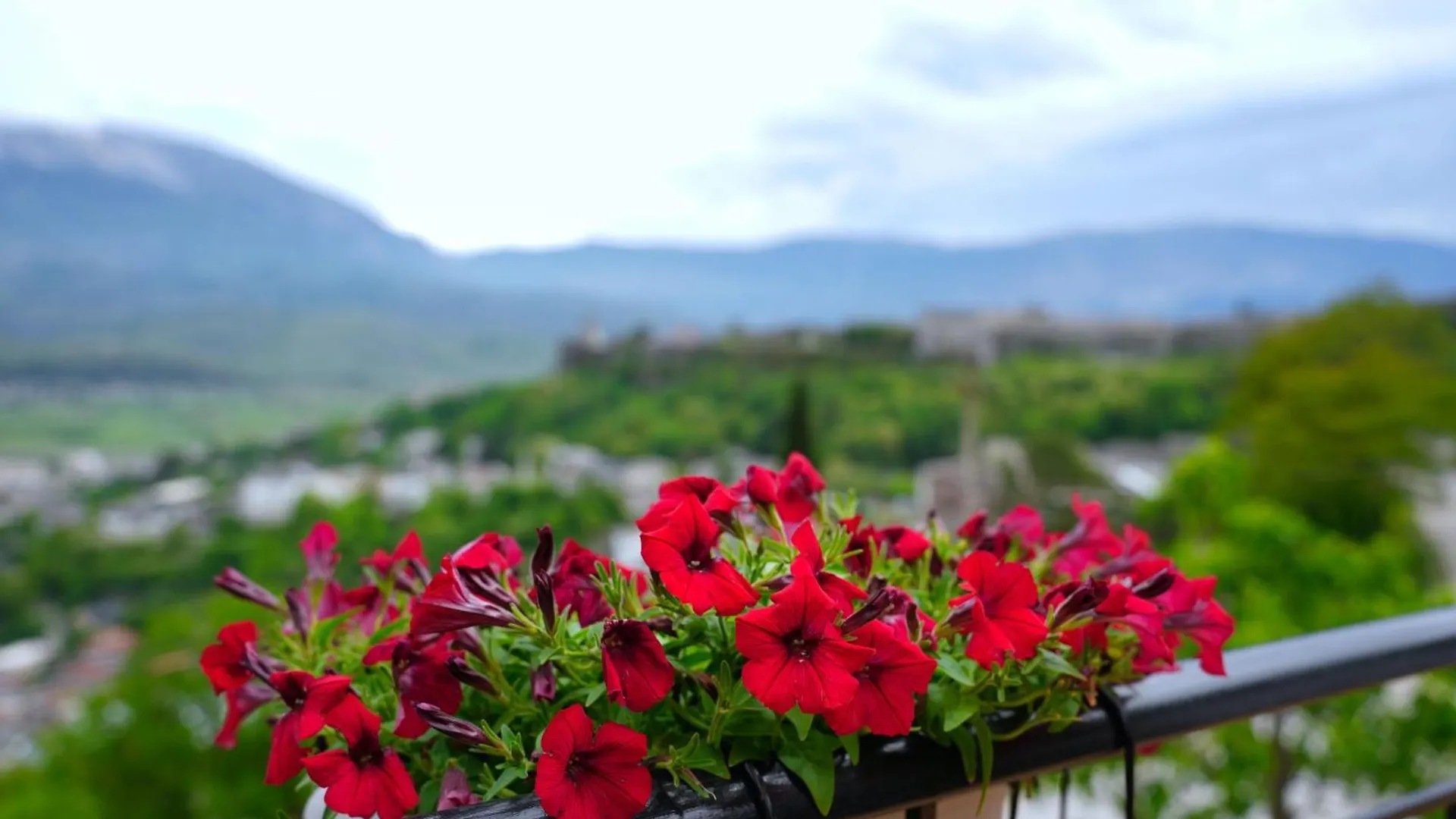 منزل للإقامة Emblematic House Apartment 4 Gjirokastër ألبانيا